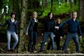 The Cullens forest Eclipse.jpg
