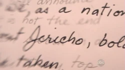 Joice vision