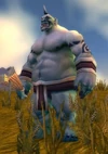Boulderfist Ogre