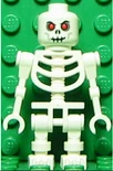 Skeleton warrior