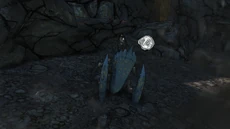 Soldier Spiderant 2