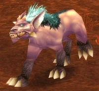 Image of Frenzied Plaguehound