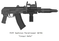 PMG P2YF AK74U
