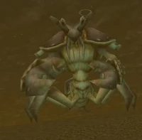 Image of Muckshell Scrabbler