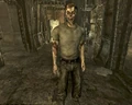 Fallout3 2009 Gob.jpg