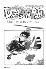 Kuririn vs. Jackie Chun