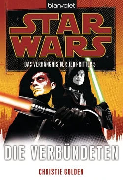 Die Verbündeten.jpg