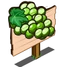 White Grapes
