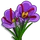 Saffron-icon