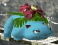Venusaur SSBM