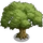 Oak Tree 2-icon