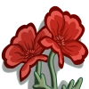 Red Poppies-icon