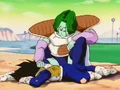 ZarbonVsVegetaNV