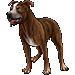Item pitbull 02
