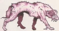 Wild Mutant coyote
