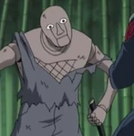Mizukispuppe