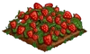 Super Berries 100.png