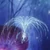 Woodsprite Userbox