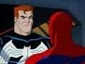 Spider-Partners.jpg