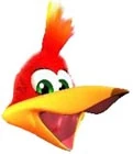 KazooieHead.jpg (4 KB) KazooieHead