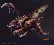 Zergling