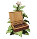 Small cuba1 tobacco