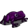 Purple Frog-icon