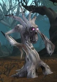 Old Whitebark.jpg