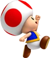 Toad2