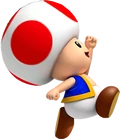 Toad2