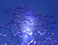 Crystalline Entity