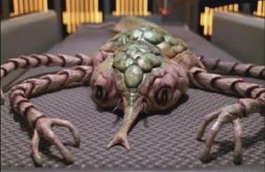 Cytoplasmic Lifeform