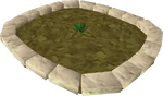 Enriched snapdragon plant 1