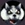 Siberian Husky pet