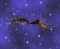 Bat Wings