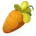 Cawwot