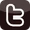 Twitter icon