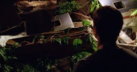 6x05 CoffinAgain