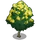 Yellow Gum Tree-icon