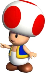 Toad NSMBDIY