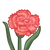 Pink Carnation-icon