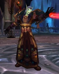 Darkfallen Blood Knight