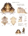Gigantoad concept.jpg