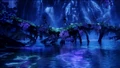 Biolumineszenz.jpg