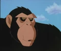 Titano DCAU 01