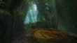 Sunleth old growth