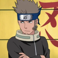Shibire
