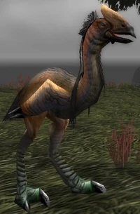 Image of Foreststrider Fledgling