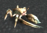Young Reef Crawler