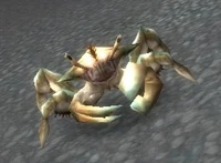Image of Reef Crawler